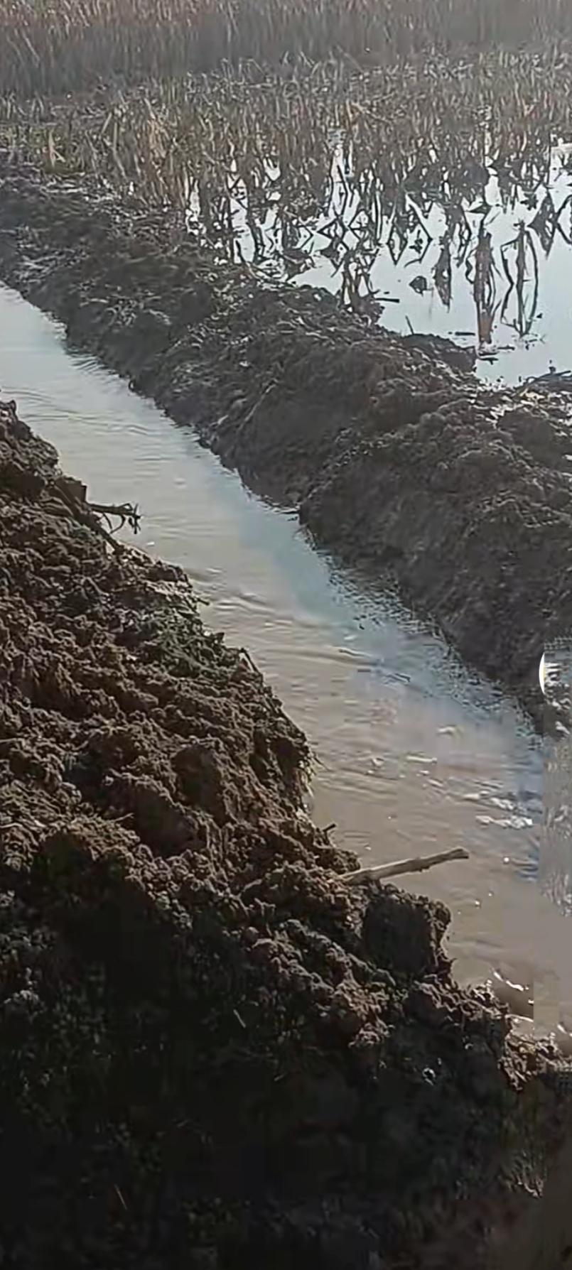 抓紧时间排水，小麦播种，不能再等了。尽管老天爷帮忙，最近温度升高，可是，