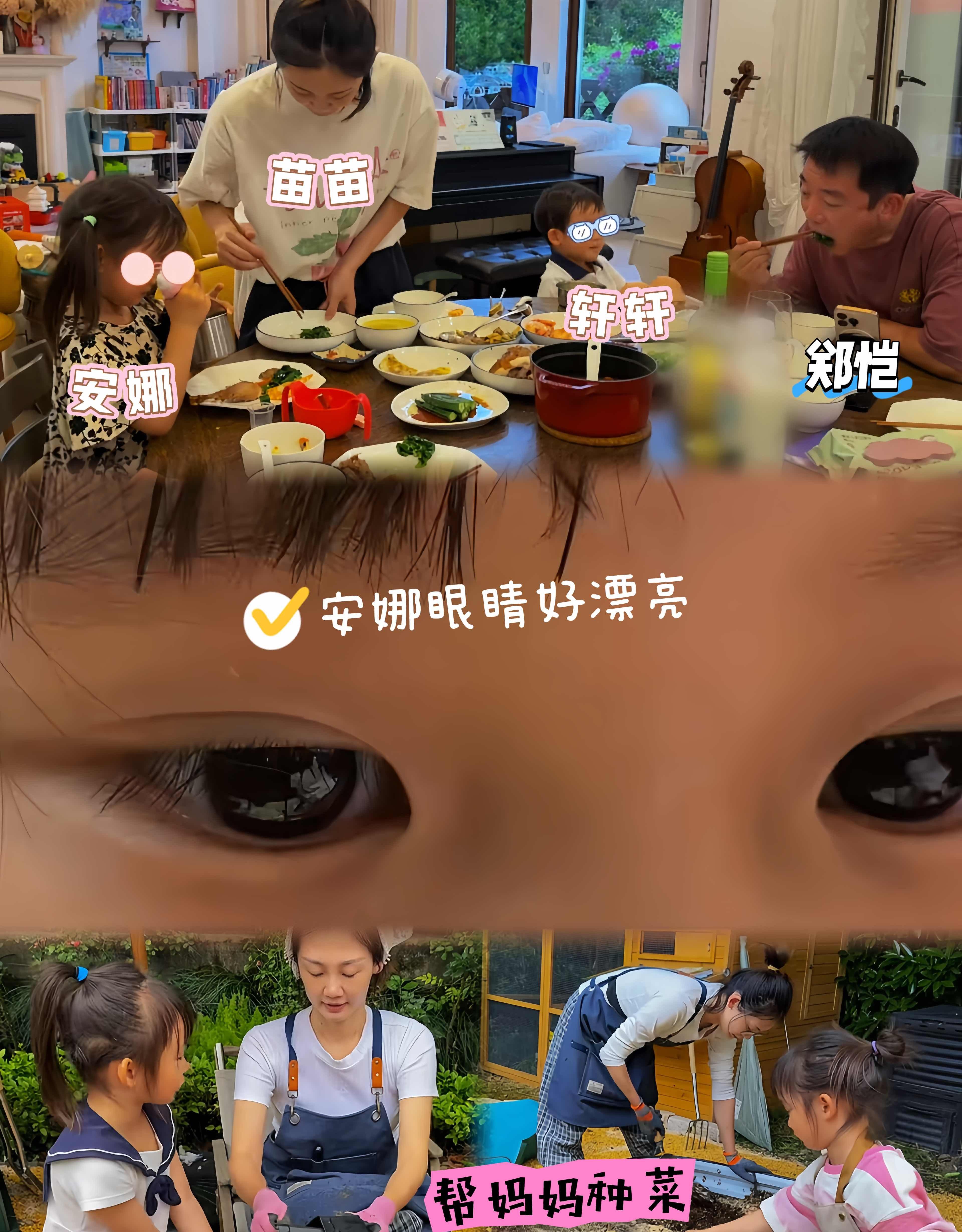 被苗苗女儿安娜的颜值惊艳到了苗苗分享的种菜vlog中，晒出了女儿安娜的五官，一