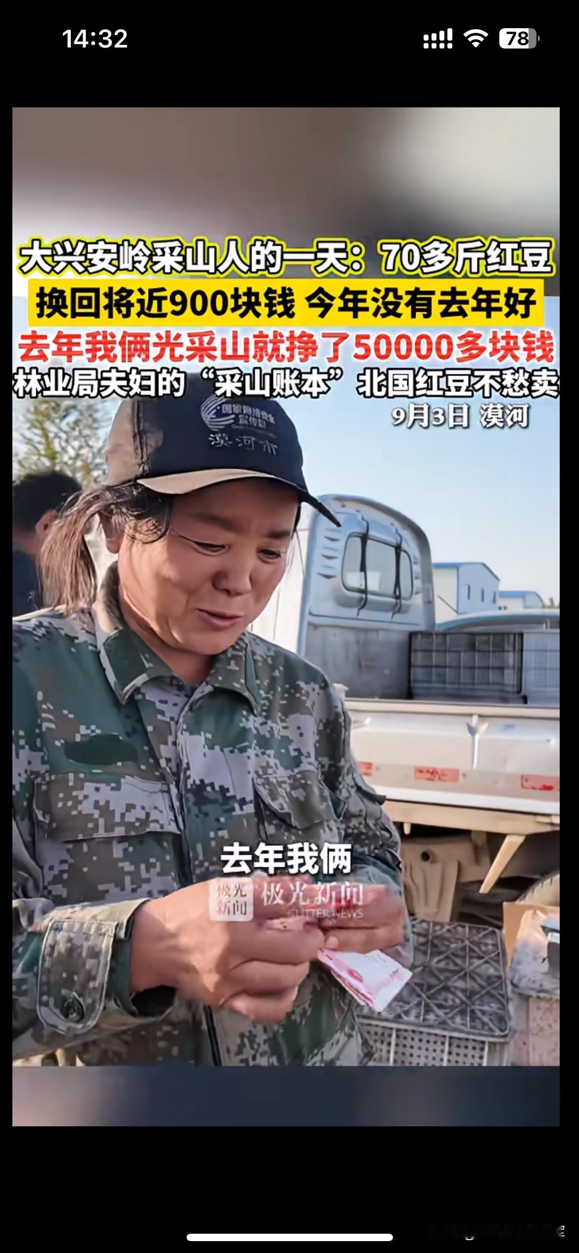 靠大山吃饭的采山人，赚的全是季节里的辛苦钱漠河这对林区夫妇进山采摘北国红豆，