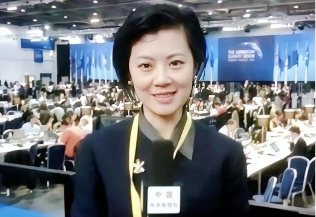 “我愿意放弃中国国籍，自愿加入英国！”2004年，这句话从央视美女主持姜丰口中说