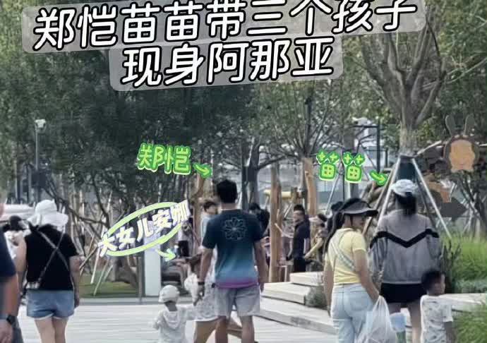 郑恺这一家子总给人一种婚姻生活很苦很累的感觉。照理说人家明星不缺钱，生仨娃也