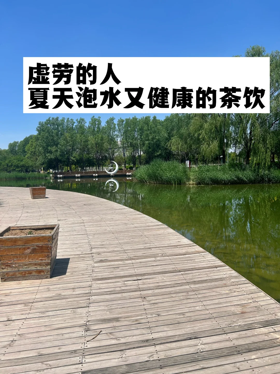 虚劳的人，夏天泡水又健康的茶饮.
