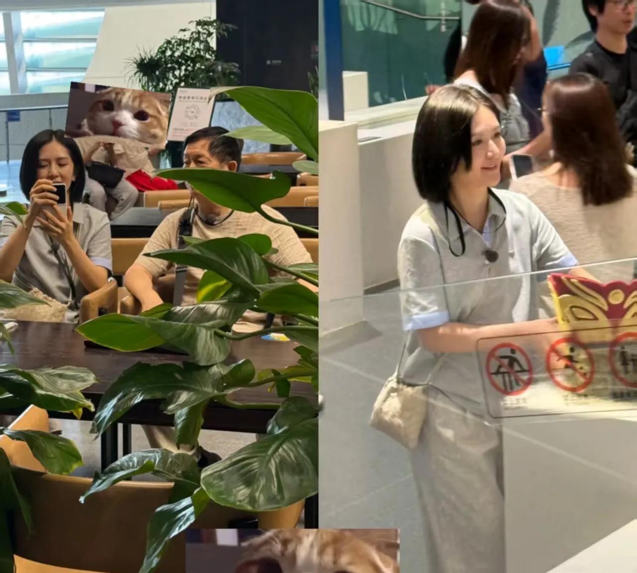 三星堆偶遇娜姐！谢娜和爸爸一起逛博物馆，不少网友都偶遇到了，本人非常漂亮，也很n