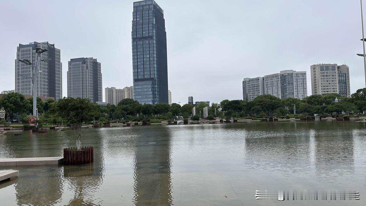 台北人在苏州，受到台风白海豚外围环流的影响，昨晚又下了一夜的暴雨。早上外出遛狗，