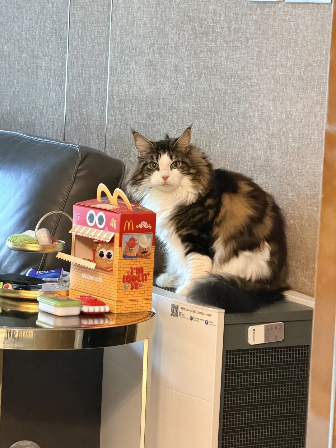 周末难得早起了一下，猫看到我就这个表情