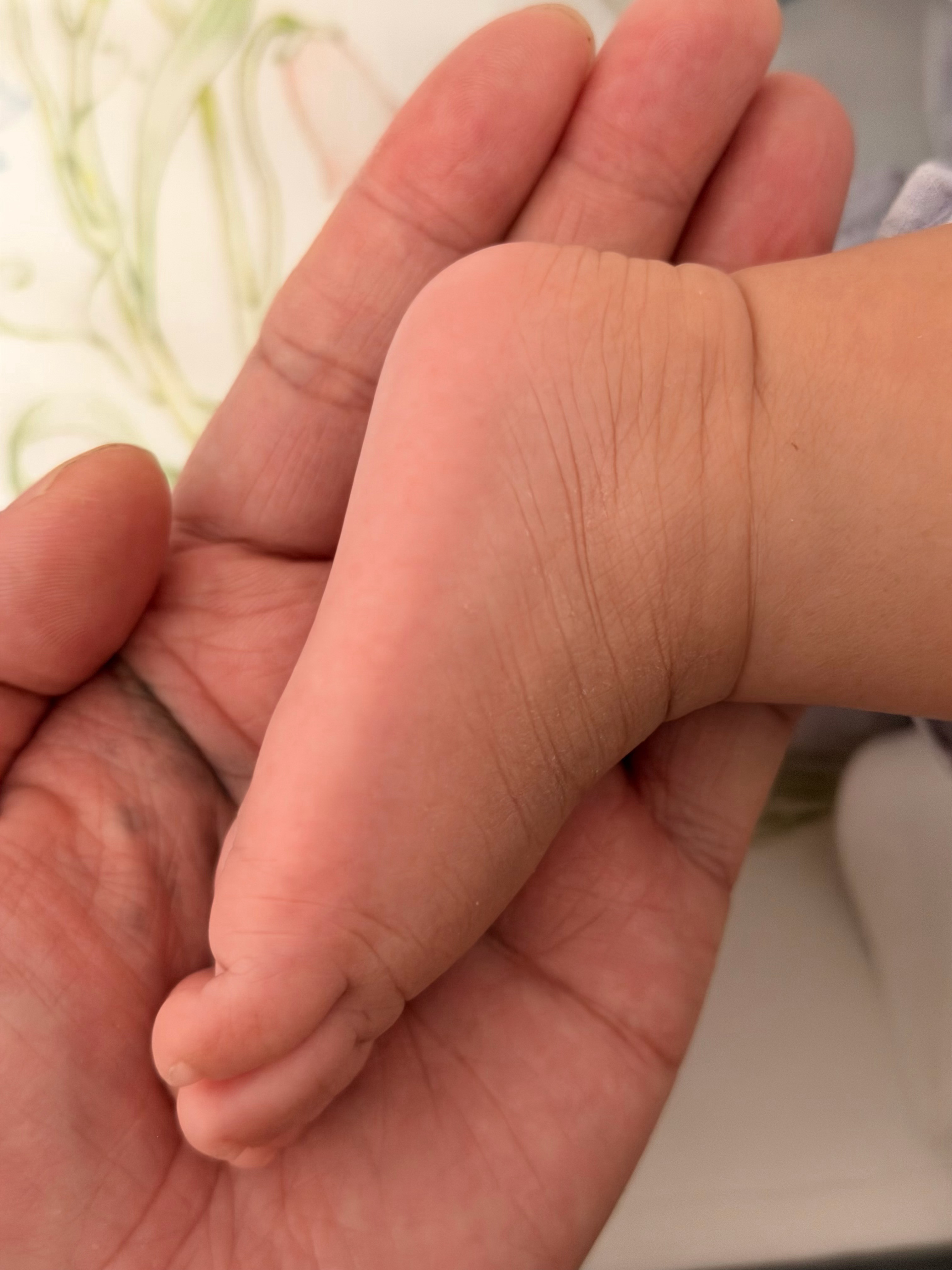 小牙刚出生的小脚vs90天后的大脚。长得真快，差不多大了0.5倍。现在已经1