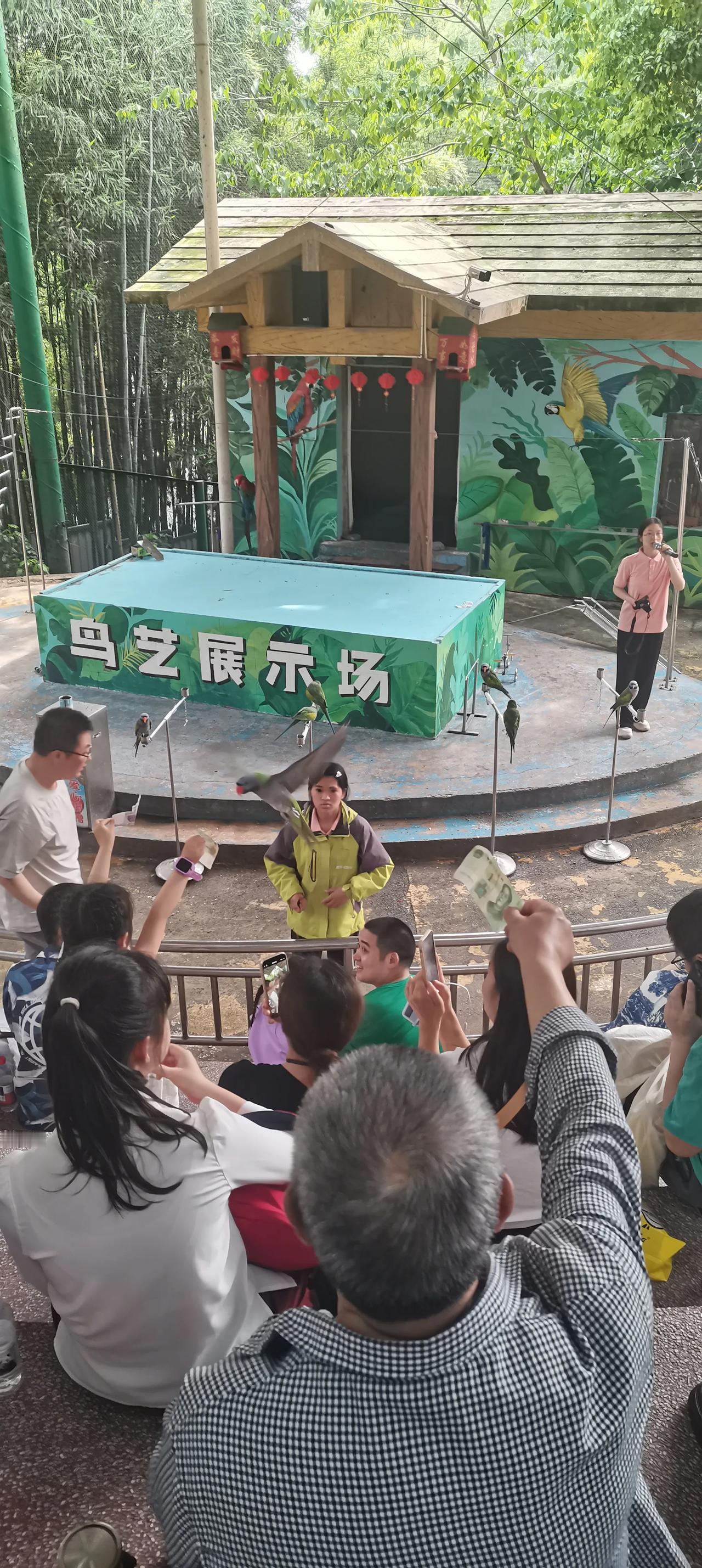 重庆动物园最容易被游客朋友忽略的景点——鸟语林所有人都知道重庆动物园是世界上饲