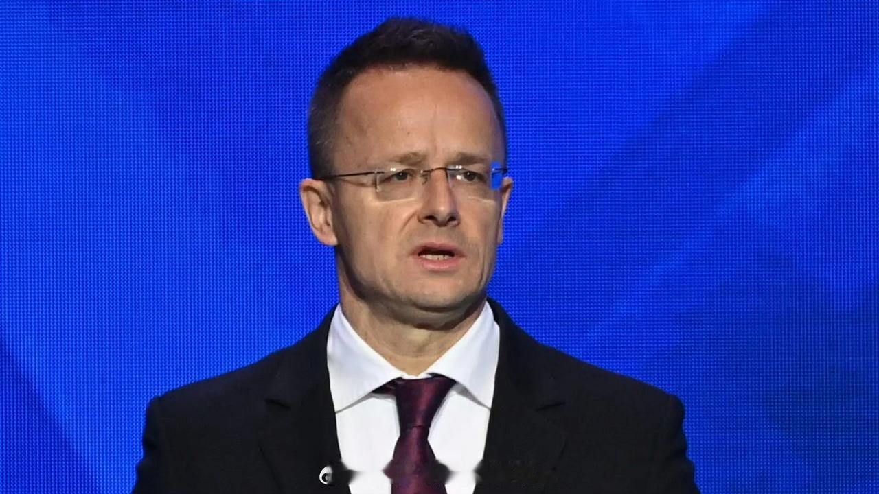 匈牙利这是要把自己彻底与俄罗斯绑在一起了。据俄罗斯媒体报道，匈牙利外长西雅尔多表