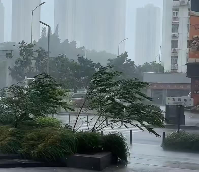 台风“红霞”来的太不凑巧了，对打工人来说简直就是雷霆暴击，早不来晚不来，