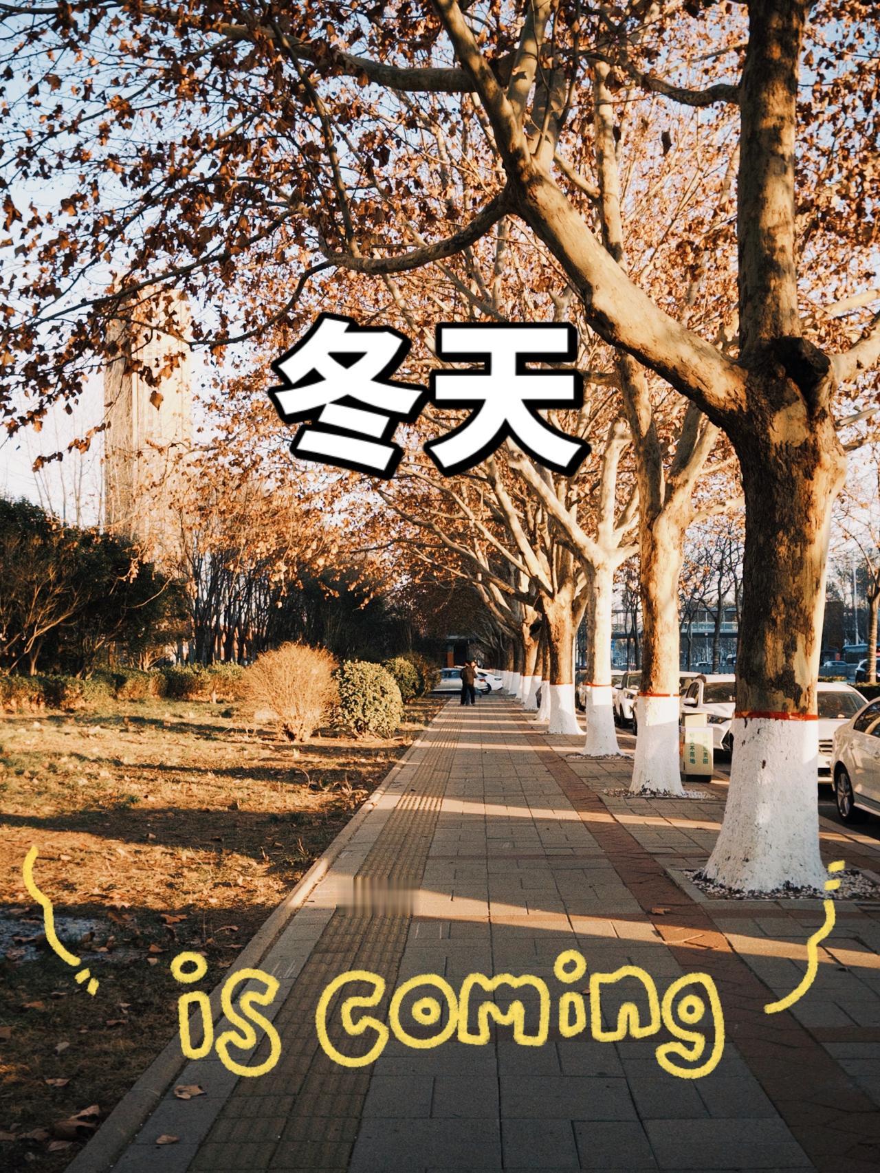 生活，一程有一程的风景，一岁有一岁的收获，不是每个日子都泛着光。但总会有