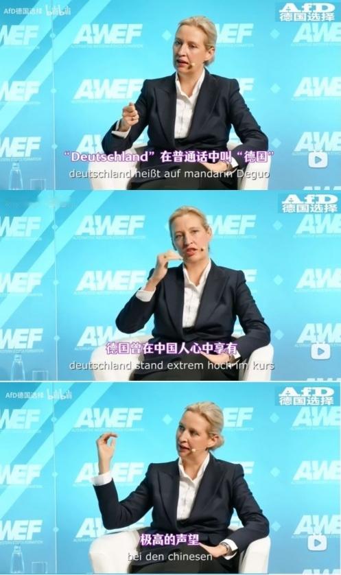 魏德尔声称“德国曾在中国人心中享有极高声望与名誉，现在已经严重受损”，是一句实话