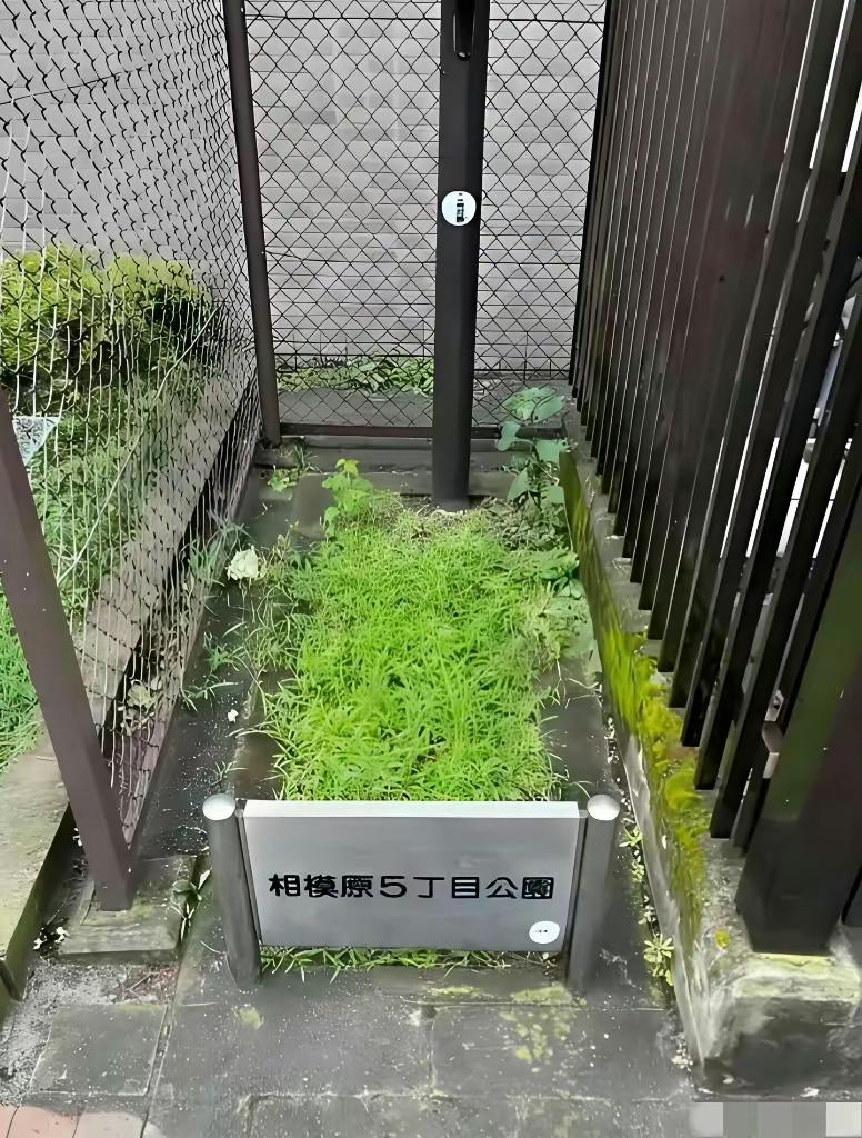 跟咱们大中国比起来，日本本来就是像这令日本人自豪的小小公园一样（这在他们那里是公