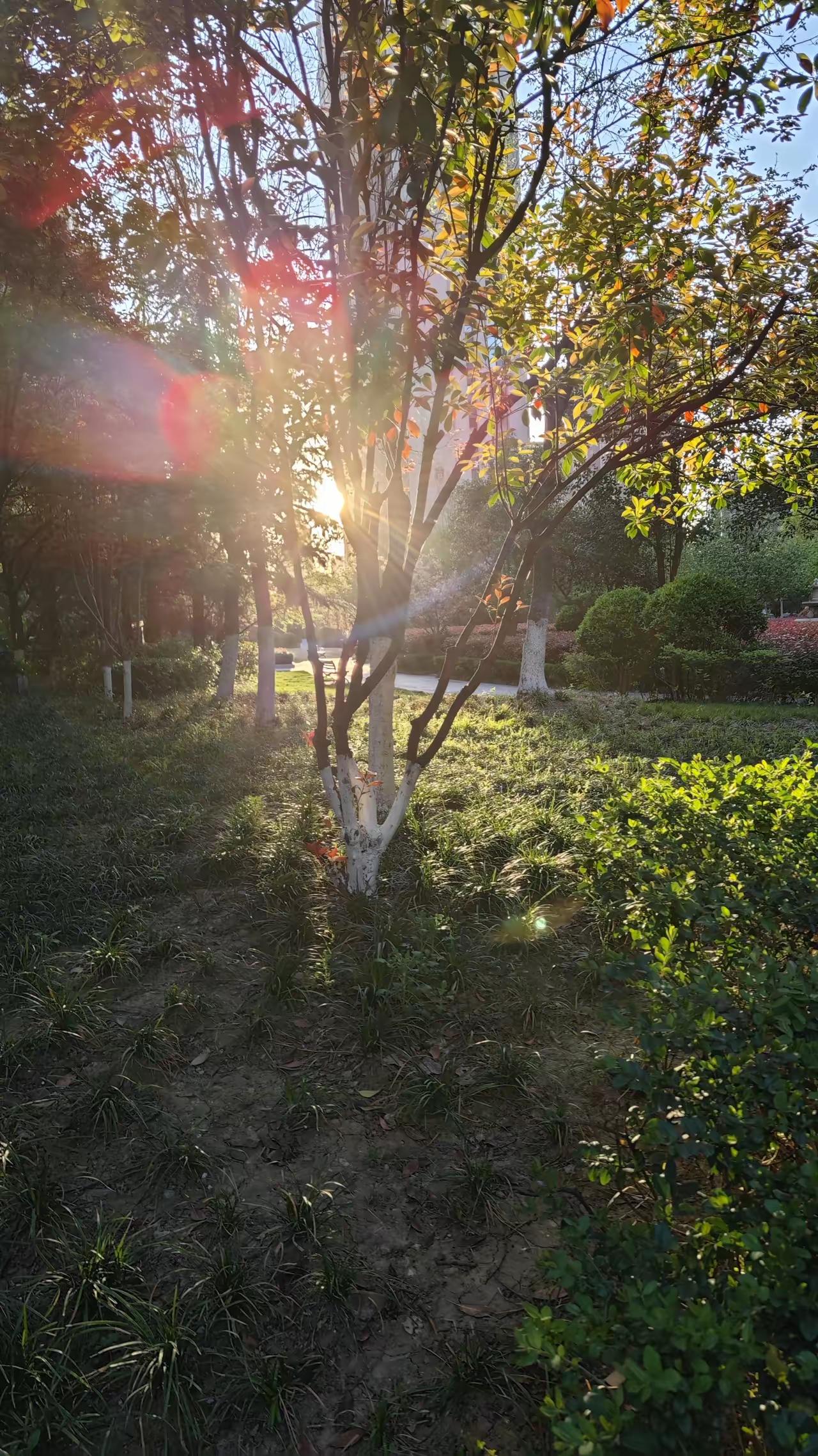 一位做自媒体的大牛说了这么一段话：“我现在不和人来往了。因为你和人交流，他就会