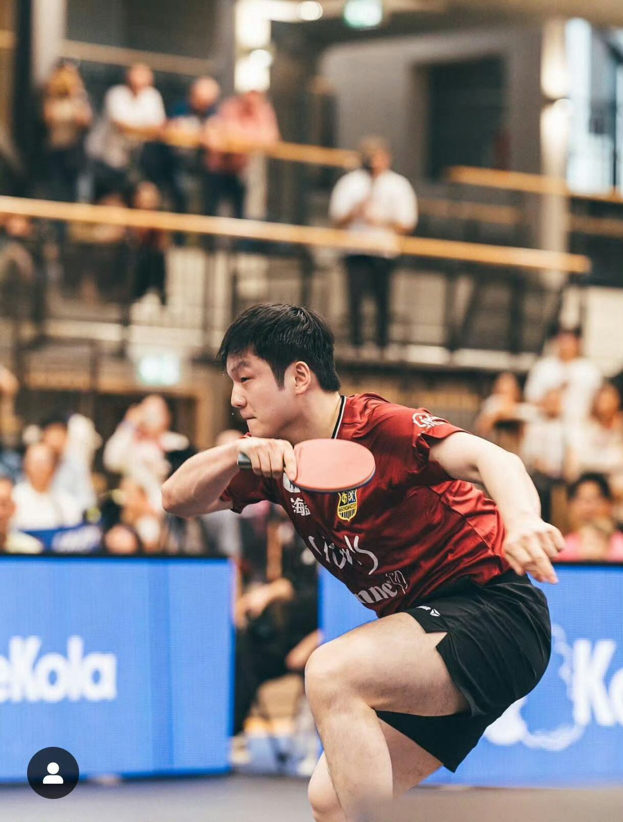 德国摄影师schnittbude镜头下的樊振东帅酷了，好有故事感