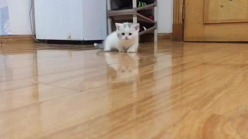 棉被怎么做出来的视频 10739716243451819439.jpg?id=0