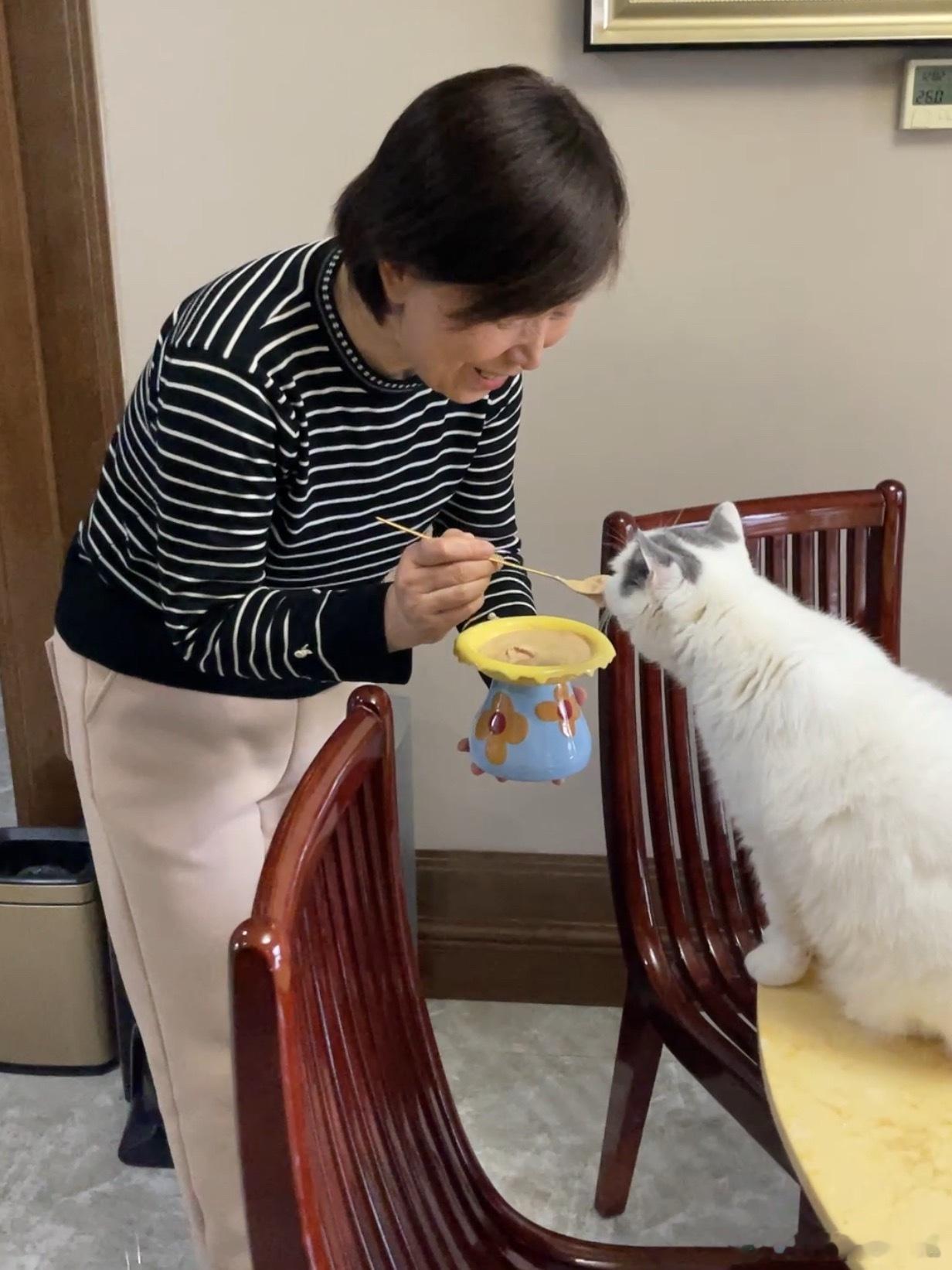 小时候也是这样喂我的吧