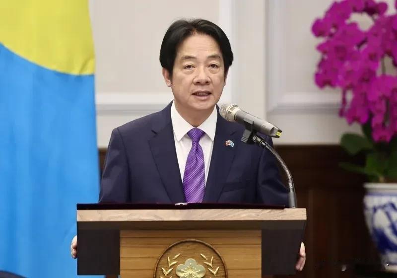 美国专家认为，应该批评赖清德的“台独”言行美国史丹福大學研究員梅惠琳(Oria