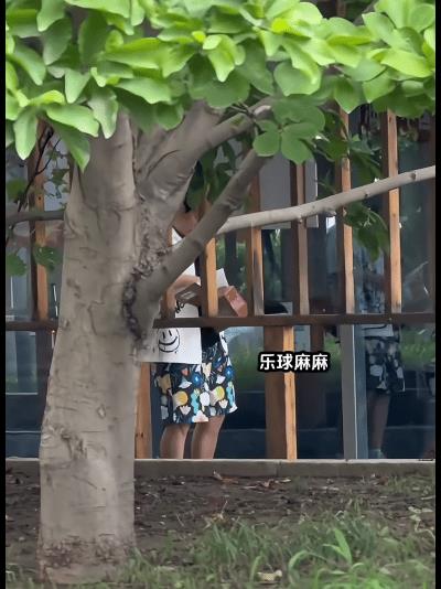 梁靖崑因腰伤退赛，终于现身了，但万万没想到他是这样的，只见视频中的大胖穿着