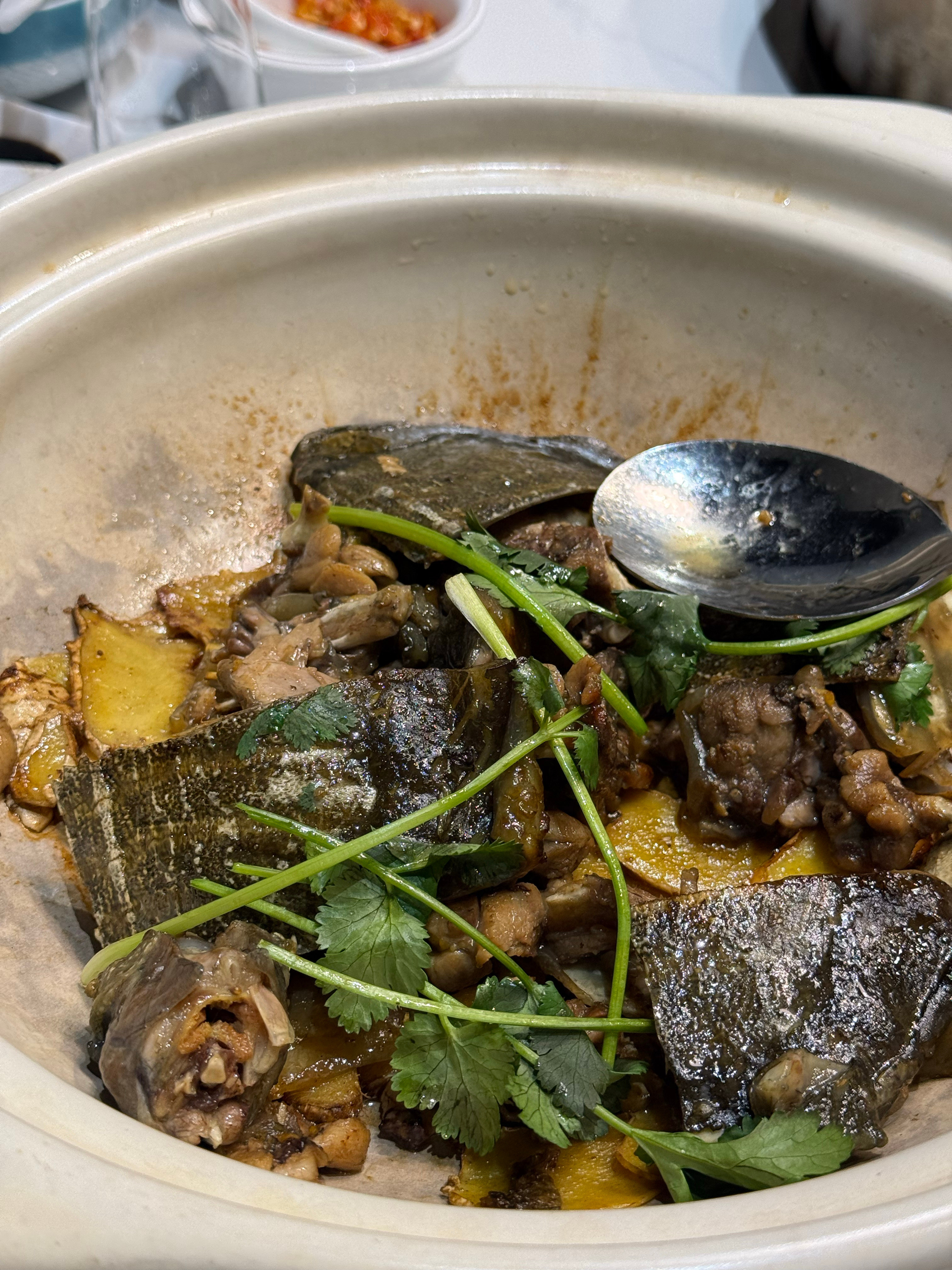 你们晚上吃什么？今天吃点清淡的😋