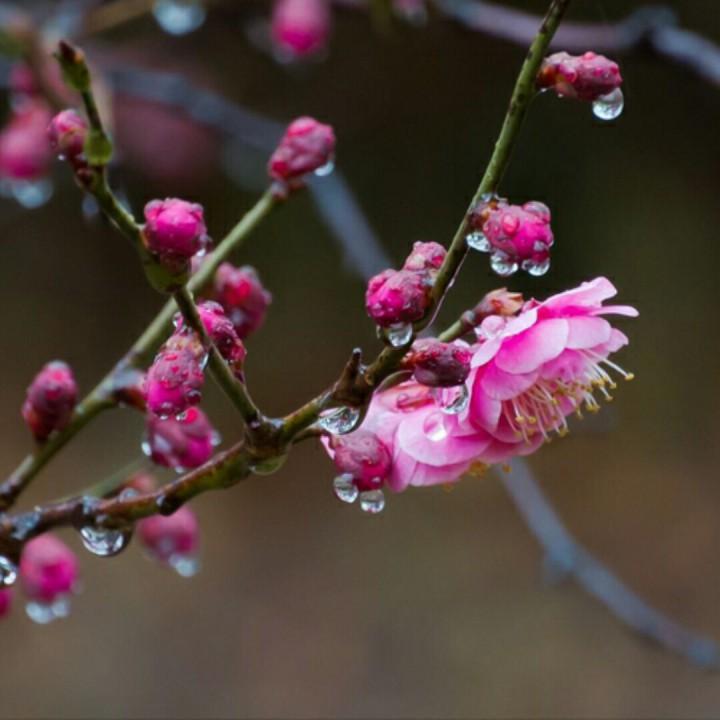 周末重磅消息，下周走势前瞻！周末重磅消息如下：一、据媒体报道，周五国常会提出
