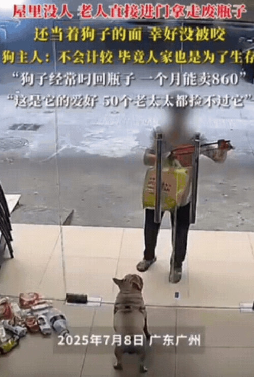 广东广州，一家店的狗狗喜欢捡瓶子，捡来的瓶子一个月能卖860元，不料，一位老太太
