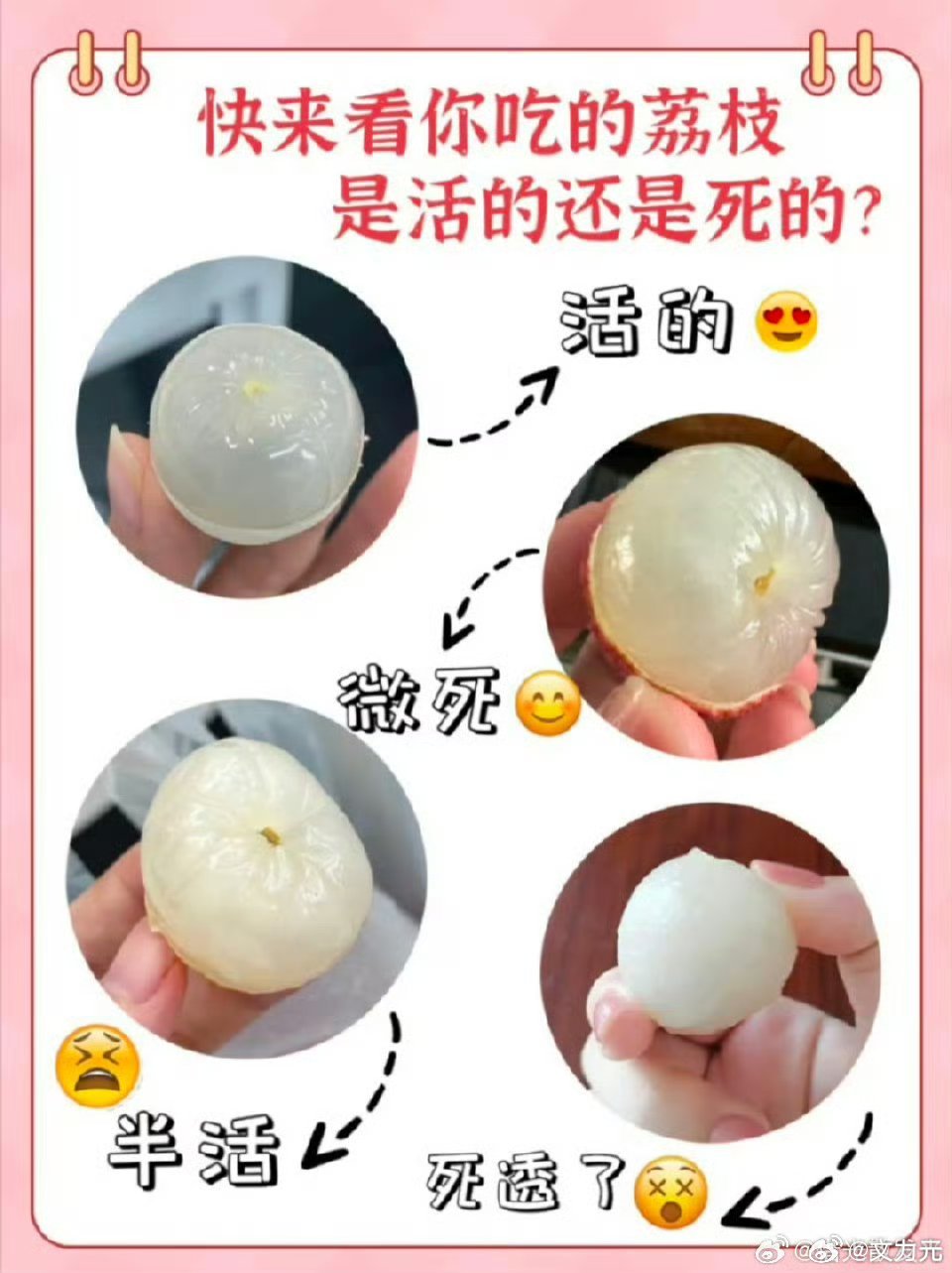 这个荔枝死了吗，好家伙，原来这也有区别，那我之前一眼都不看吃的算什么？[捂脸哭]