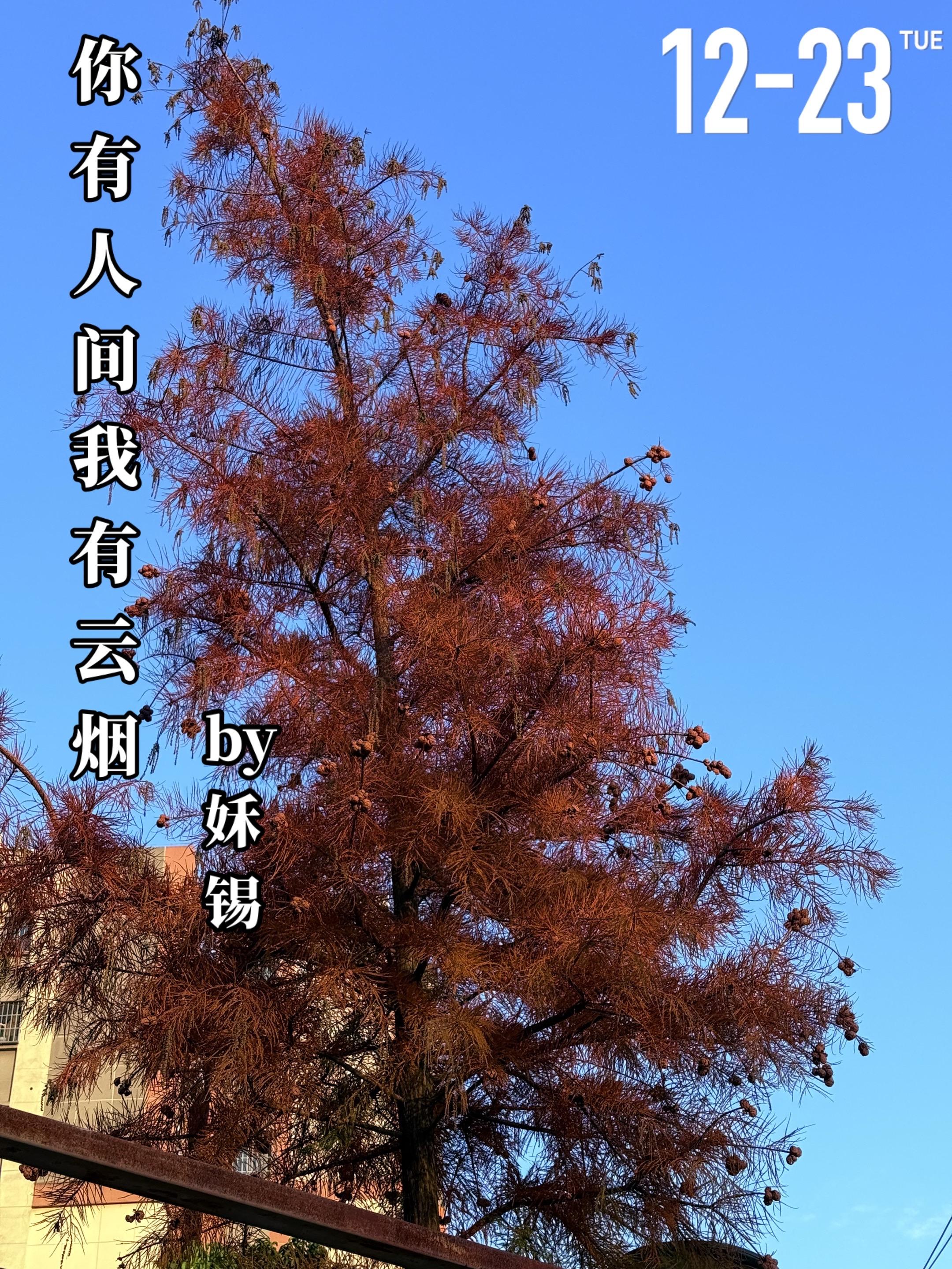 《你有人间，我有云烟》 by姀锡。石青（女主）与徐少邱（男主）两人在一...