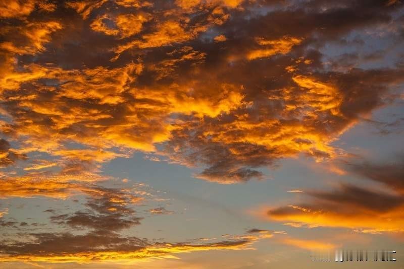 最近江苏盐城响水县上海金店副店长付某婷的事儿闹得沸沸扬扬。11月18号起，她47