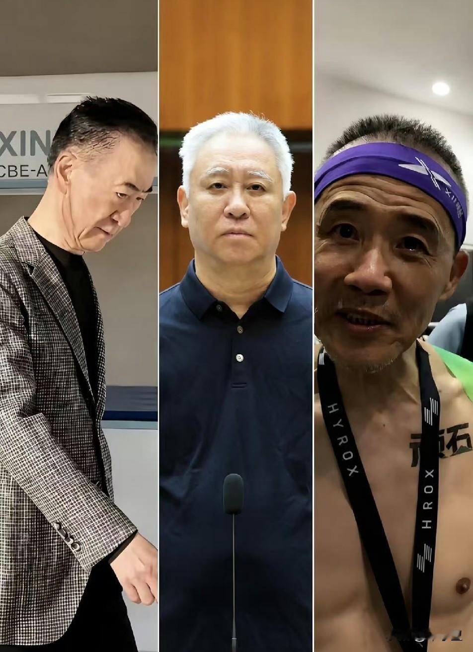 都是搞地产起家的，最终结果三种结局王健林许家印王石地产之王许家印王健林万达集
