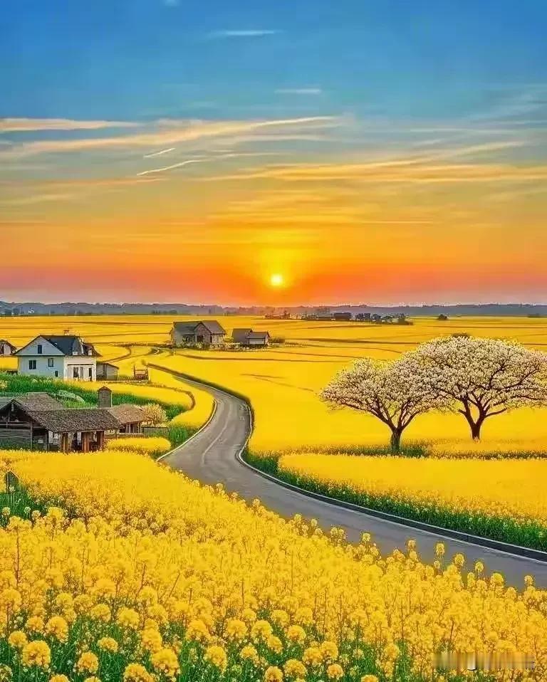 刷到一段非常通透的话：“什么是福报？活的久，老的慢，病的晚。离开世界前，