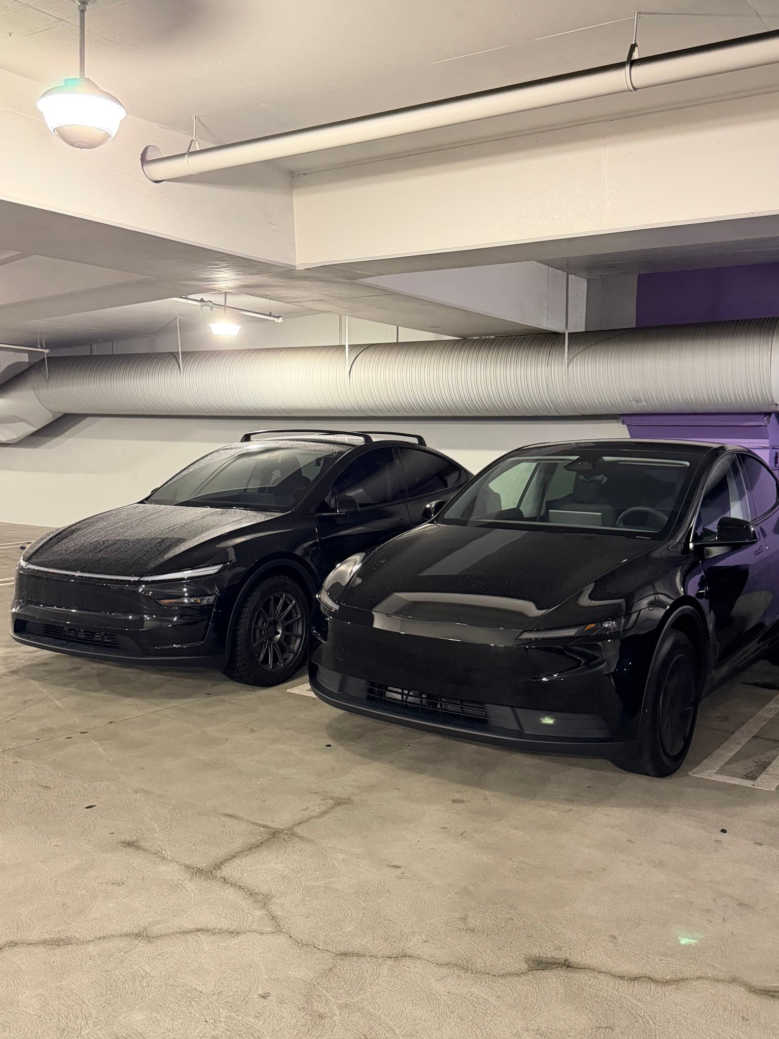 美国ModelY标准版和高级版