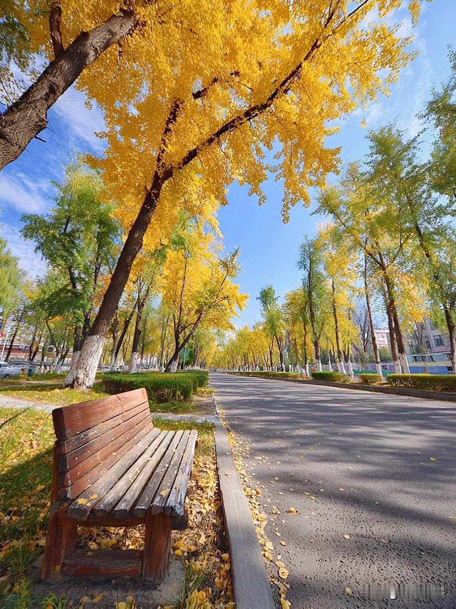 生活渐渐磨去了棱角，岁月沉淀了冷暖自知，我们都成了有心事不能分享的成年人，你可以