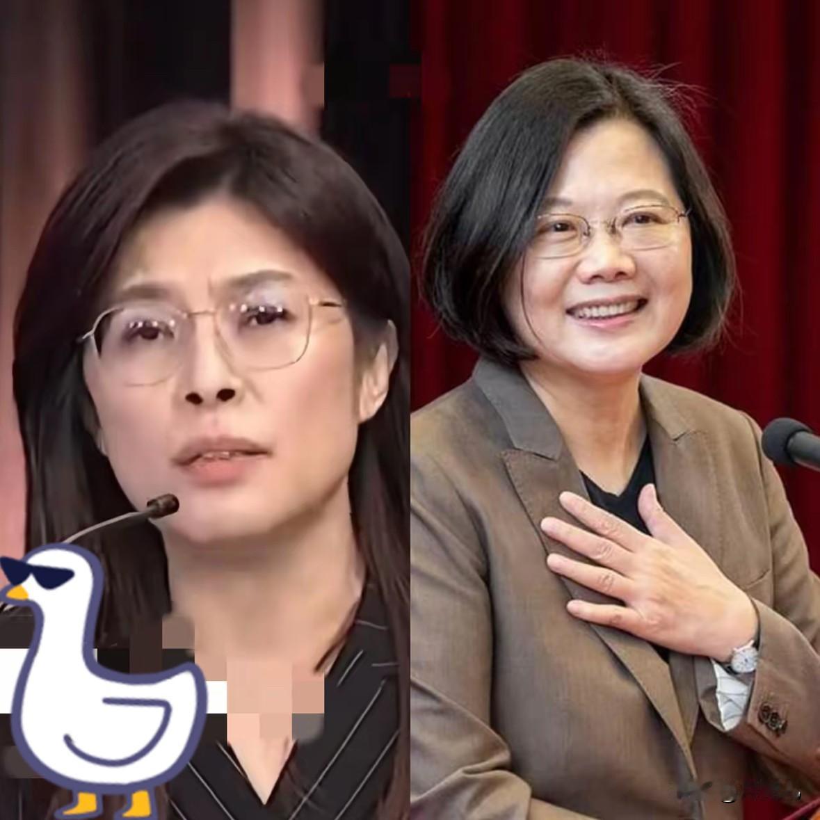 他们都无儿无女却截然不同郑丽文和蔡英文一样，都没有儿女。​郑丽文未来的发