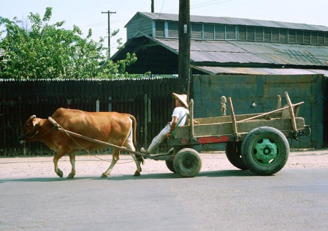 走，上班去！(1966年台中）