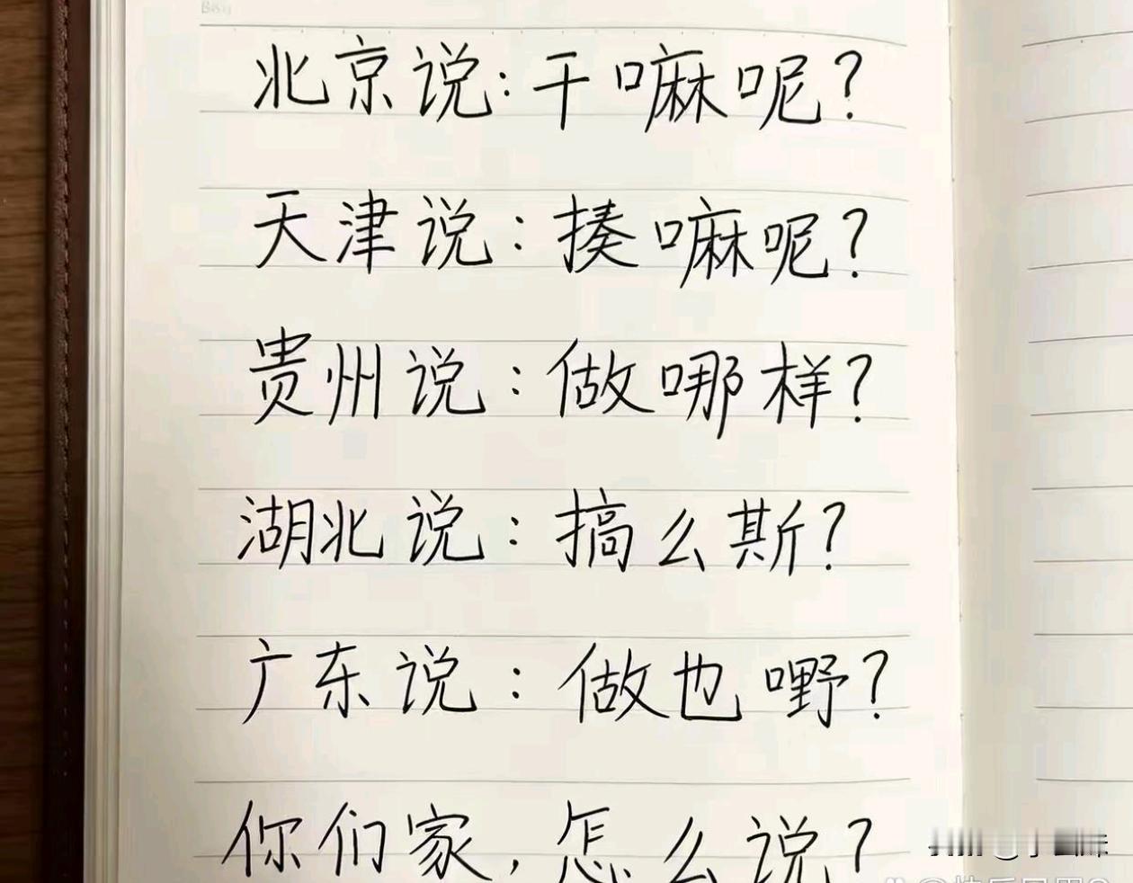 说说你们的老家话