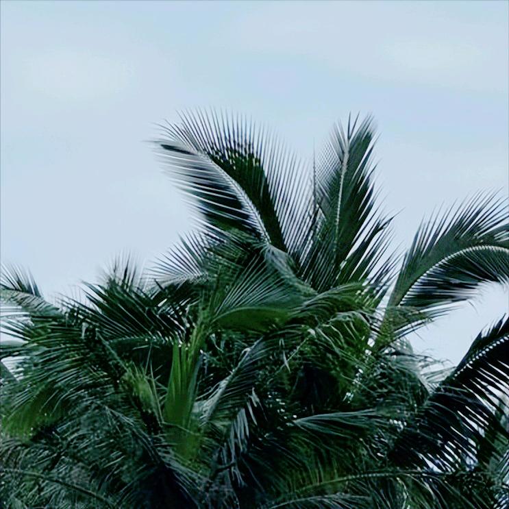 今天  贵州：党纪政务处分2人 12月17日10:30，贵州：党纪政务处分