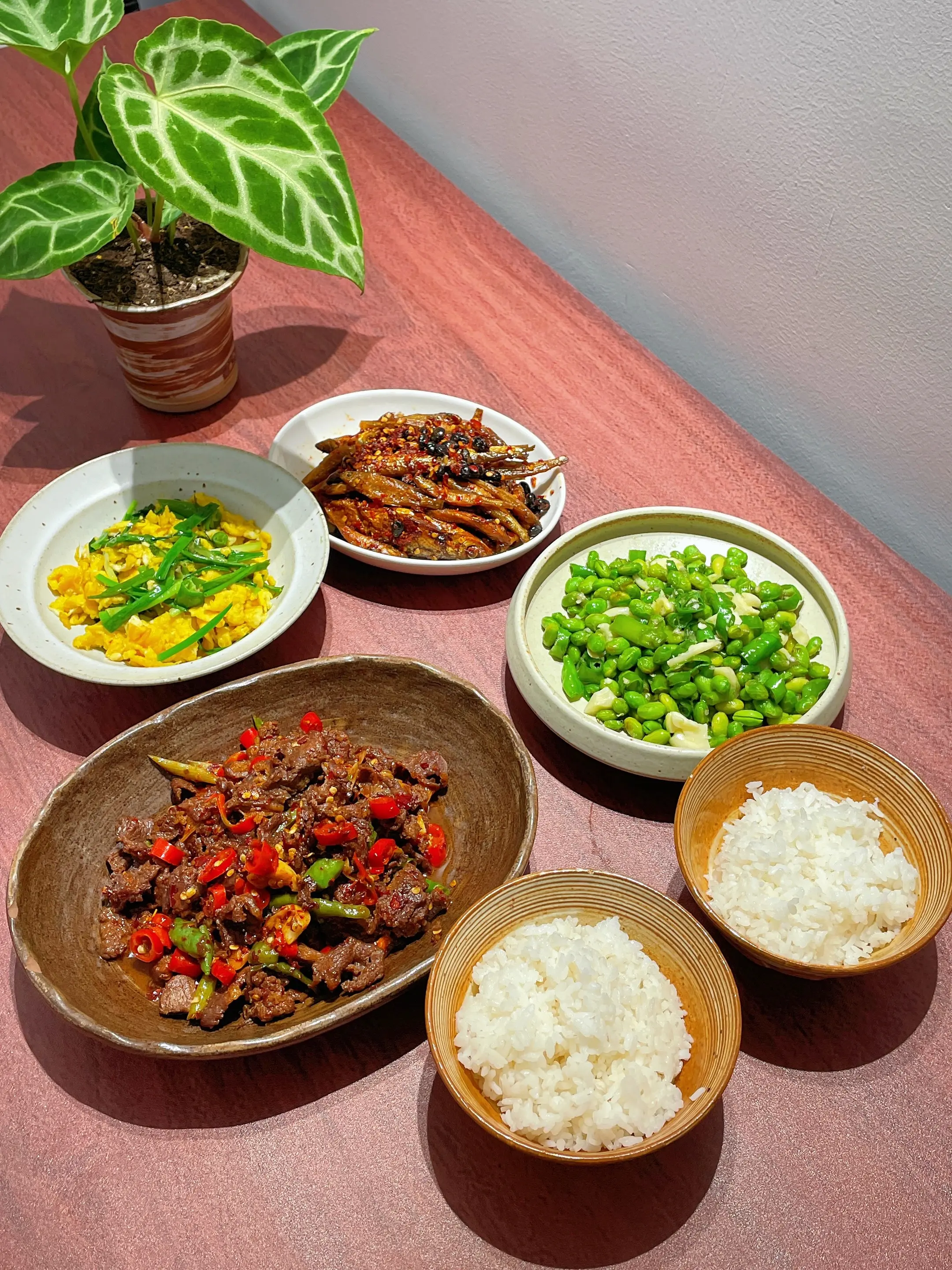 家常菜永远是最好吃的！出差几天好馋这一口～菜单：小炒牛肉、青椒毛豆、茶...