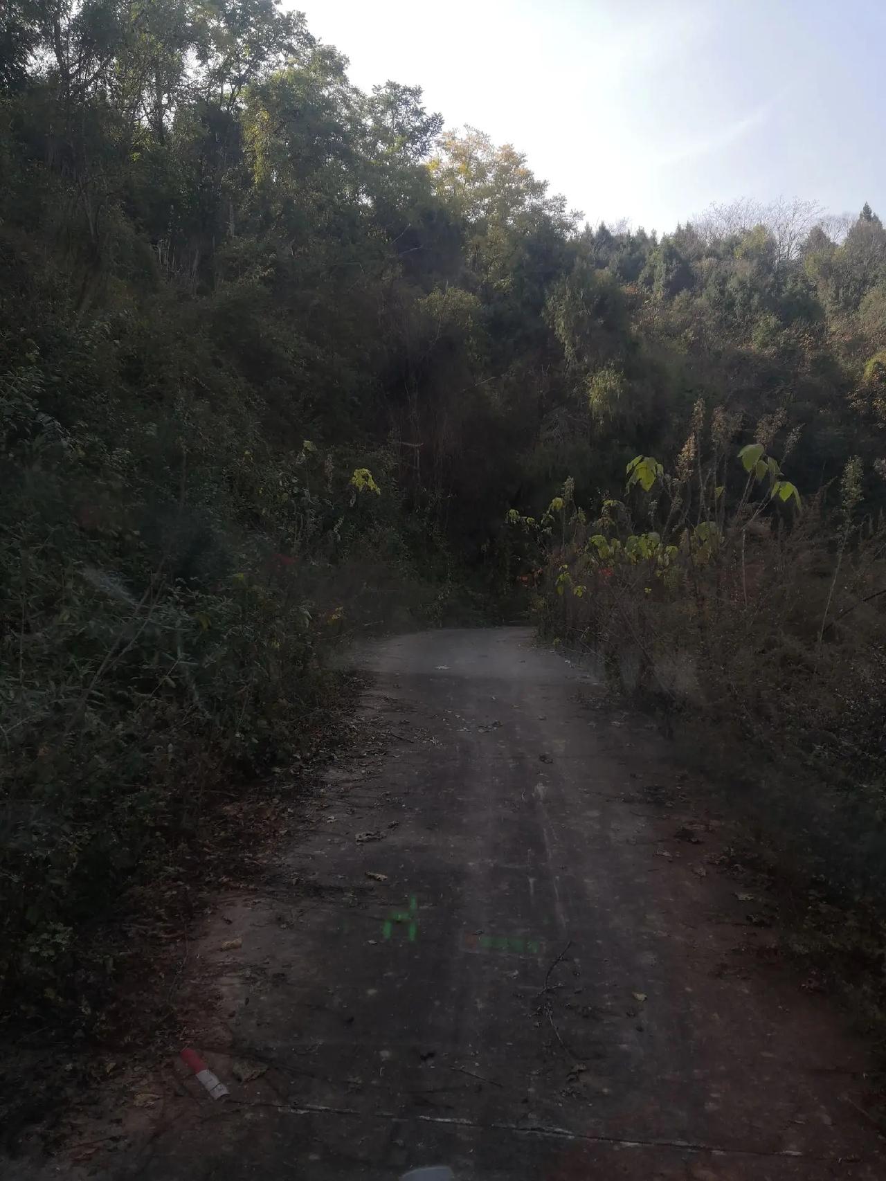 山间小路，清静优雅，风景如画