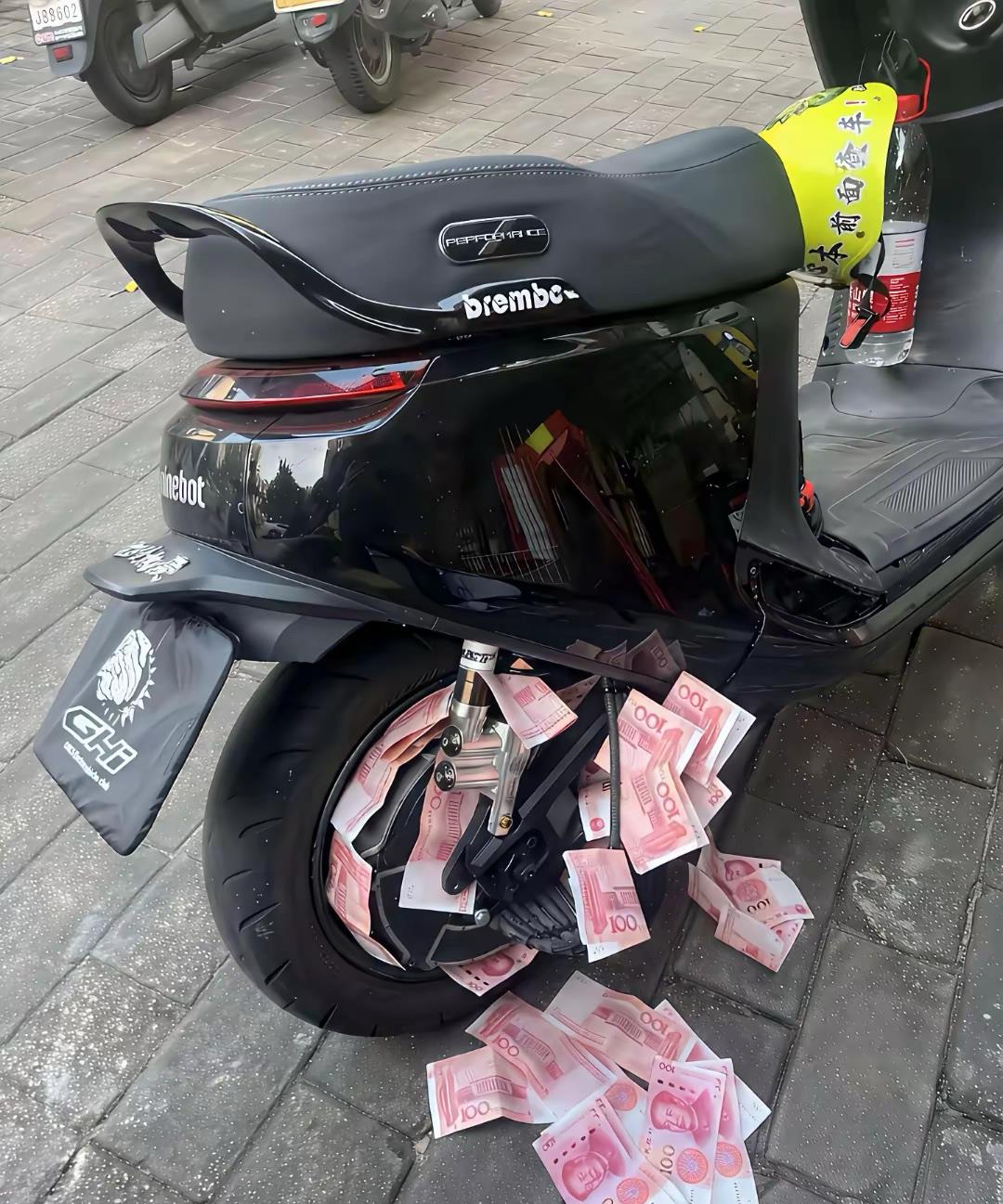 可以捡回家吗