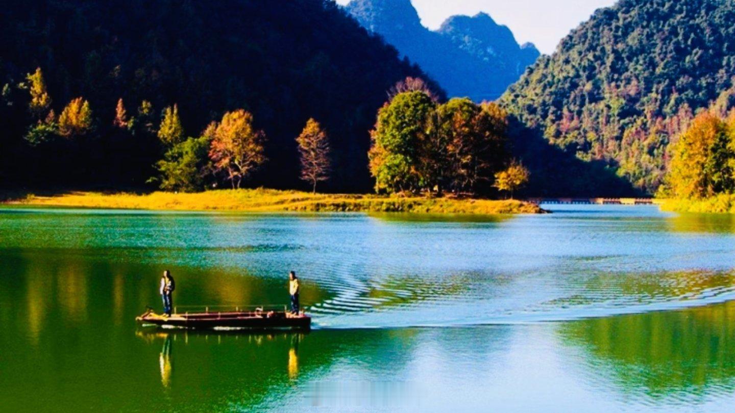 生活手记终于奔赴河池红叶森林公园，整个人直接被美到失语！漫山遍野的枫叶自带滤镜