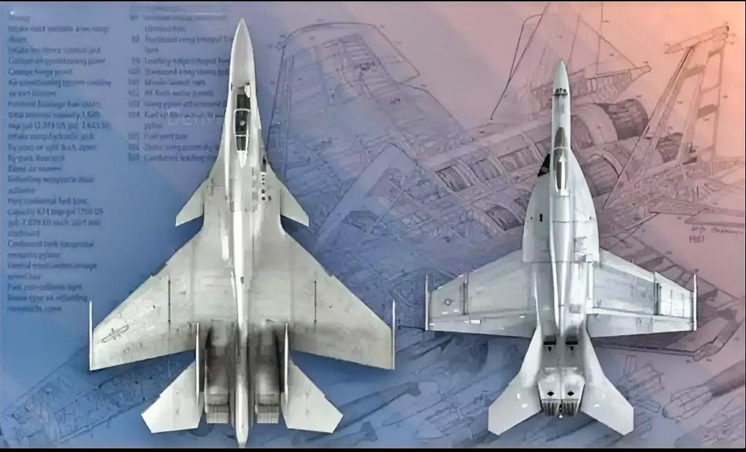 从俯视的角度看中国歼15T和美国F/A-18舰载机的大小更直观，歼-15在尺寸上