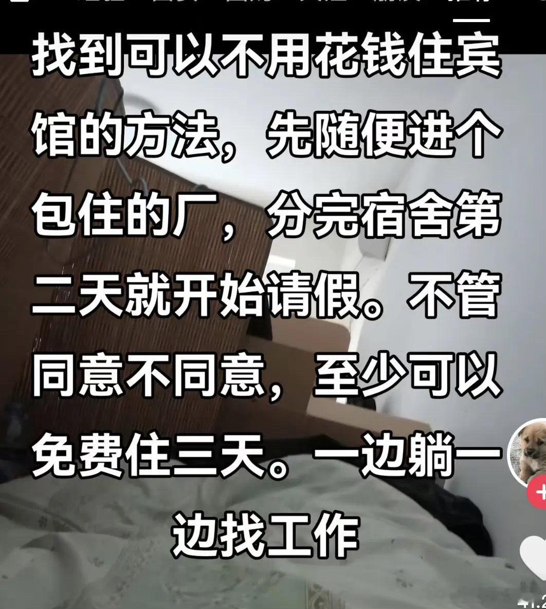 有这头脑干什么都能成迷惑行为大赏​​​