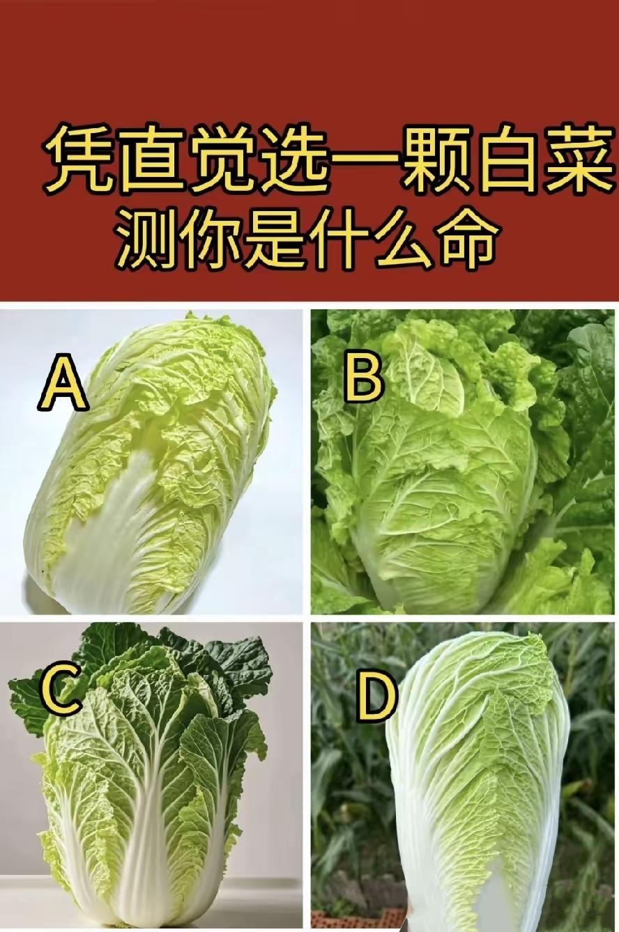 凭直觉选一颗白菜，看看你是什么命✨心理测试趣味测试