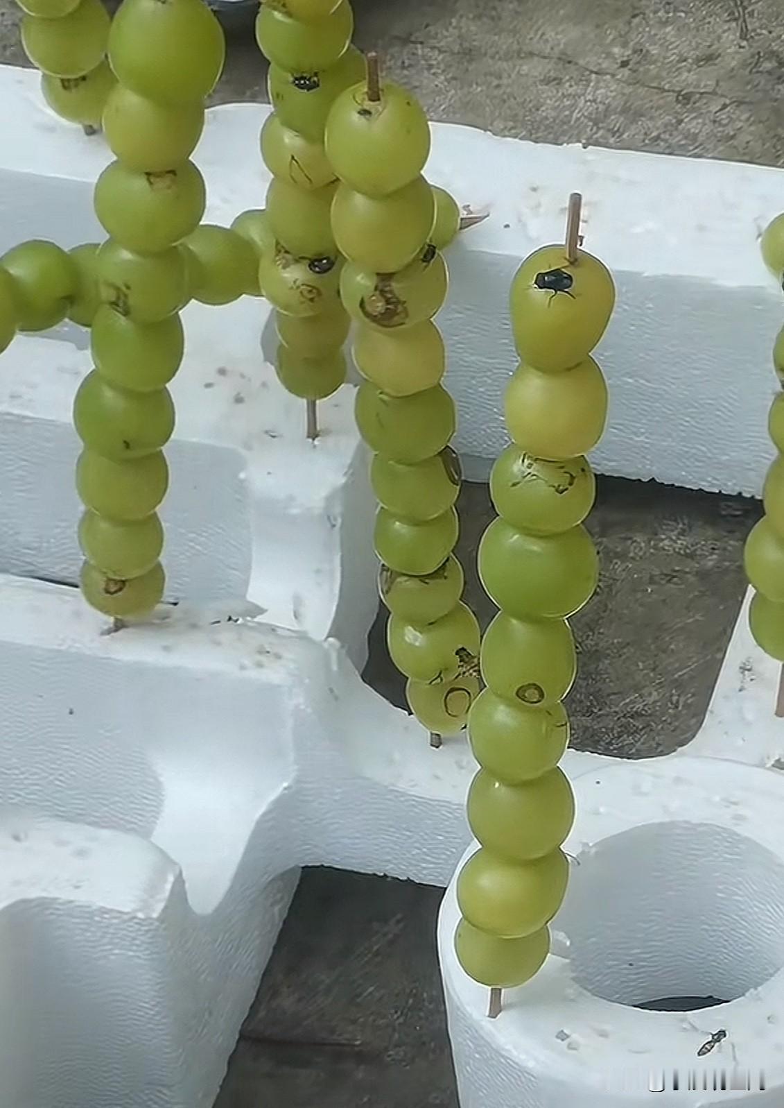 我昨天去卖糖葫芦的客户家修洗衣机，客户非常热情，非要给我吃一串，吃了吧感觉对不住