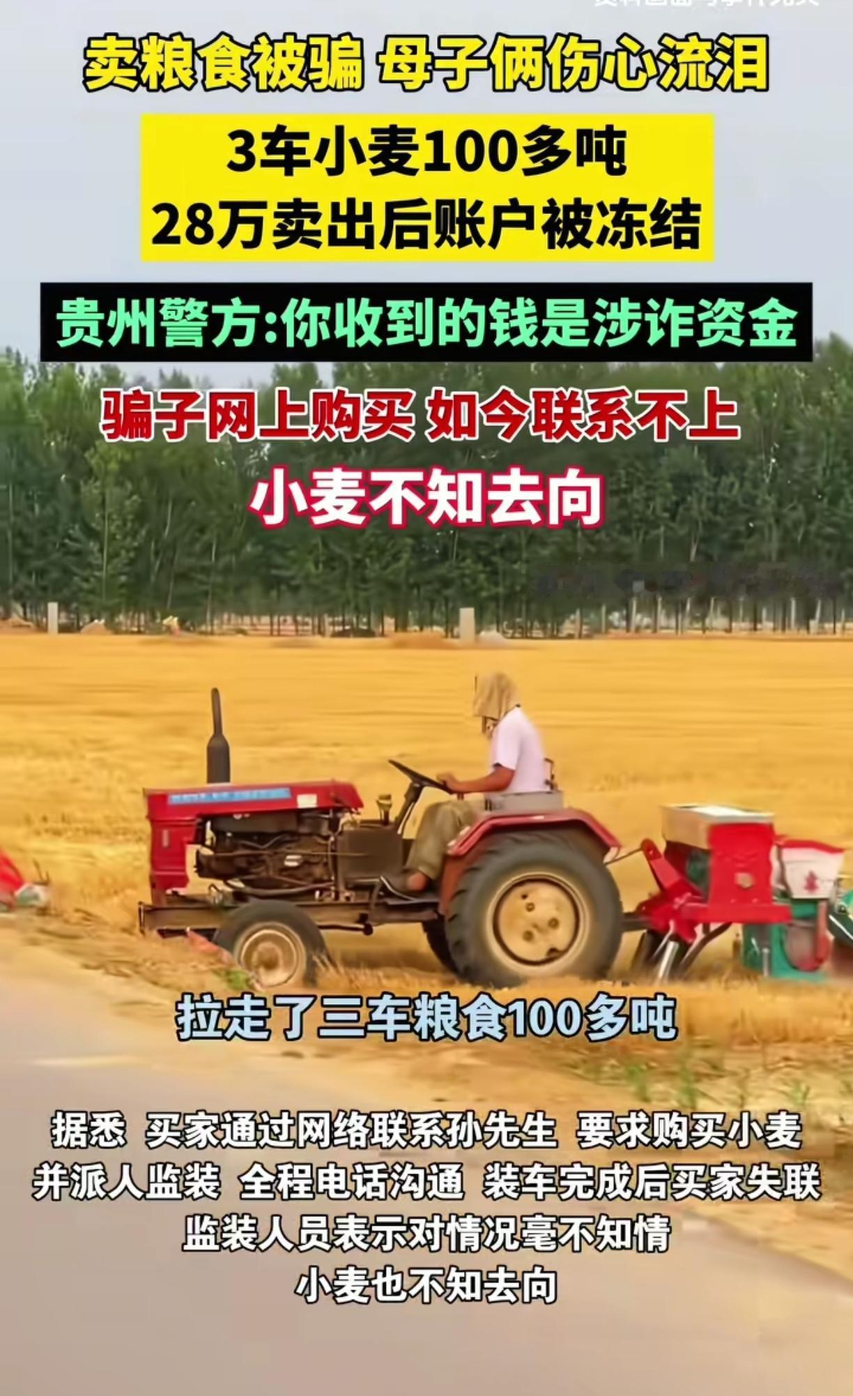 卖粮被骗这件事一开始就是有预谋的!骗子以采购商的身份在网上套取了他家粮食的信息
