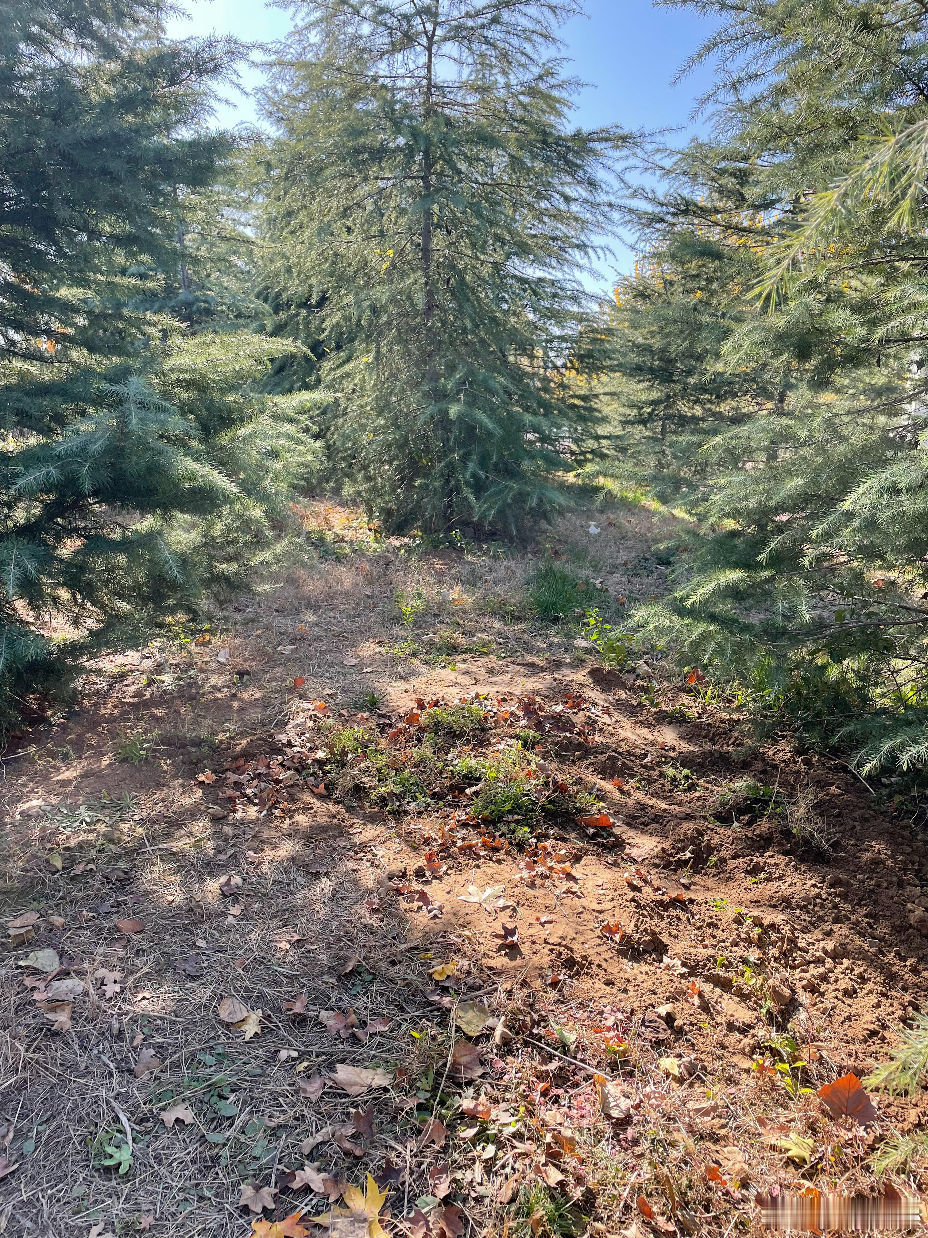 在家旁边，以后有空都来看你安息吧溜溜