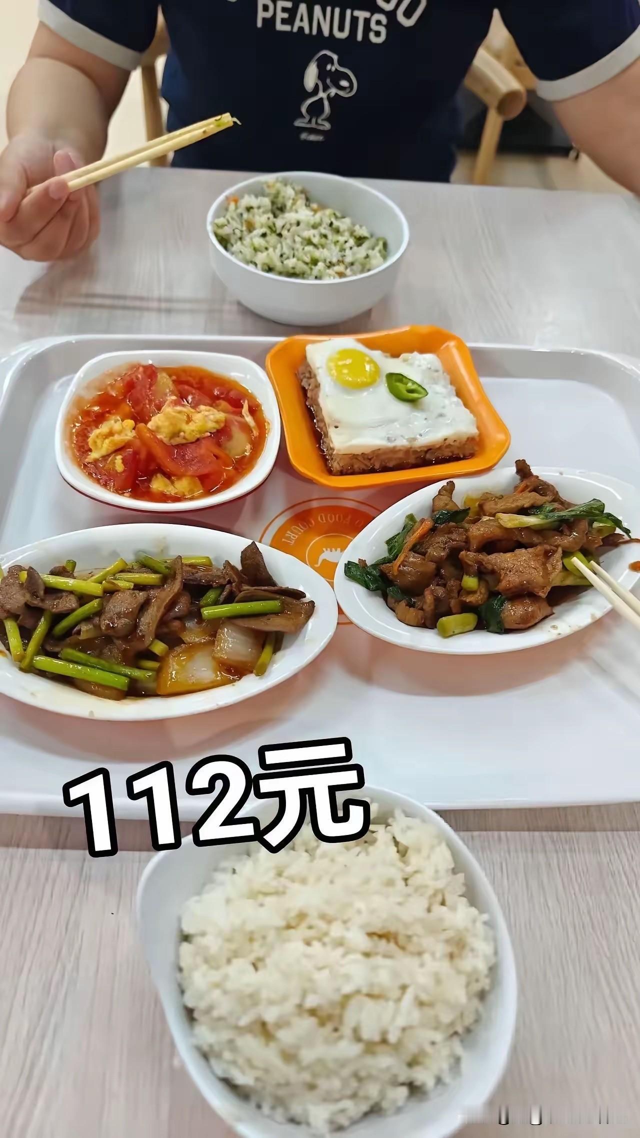 景区附近打的快餐，大家觉得贵吗？