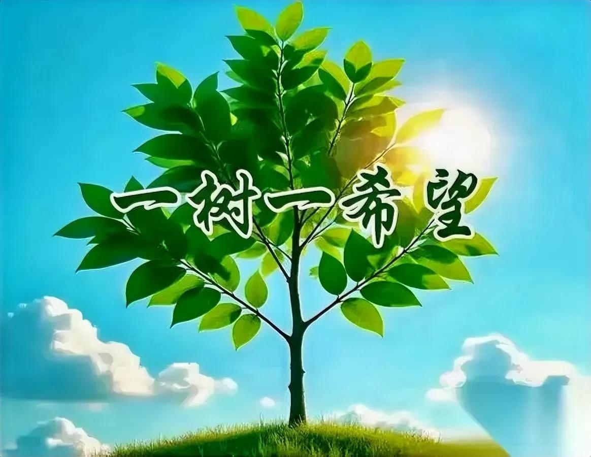 开家长会惊掉下巴！现在孩子躺平厌学有多离谱？听名师说，某初中竟有"函授生