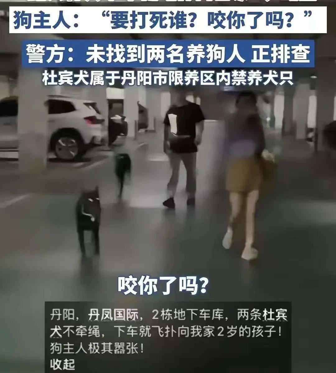 城市养大型犬还不牵绳，吓着小孩不道歉，还手指着家长骂，这是什么社会，容着无法无天
