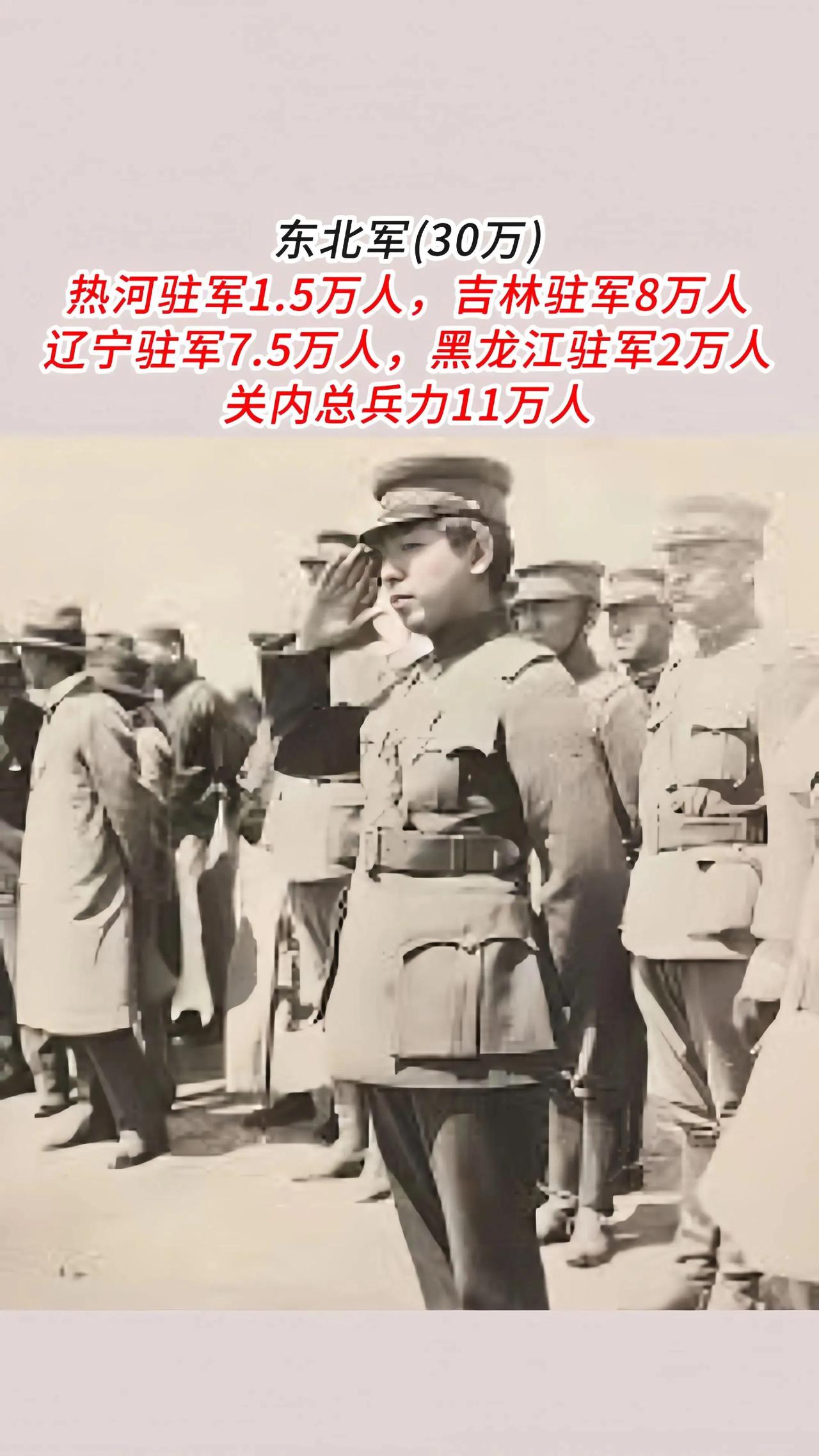 不敢相信吧？这是九一八时，东北军的实力！拥有这样的实力，当年竟然一枪不放的跑了？